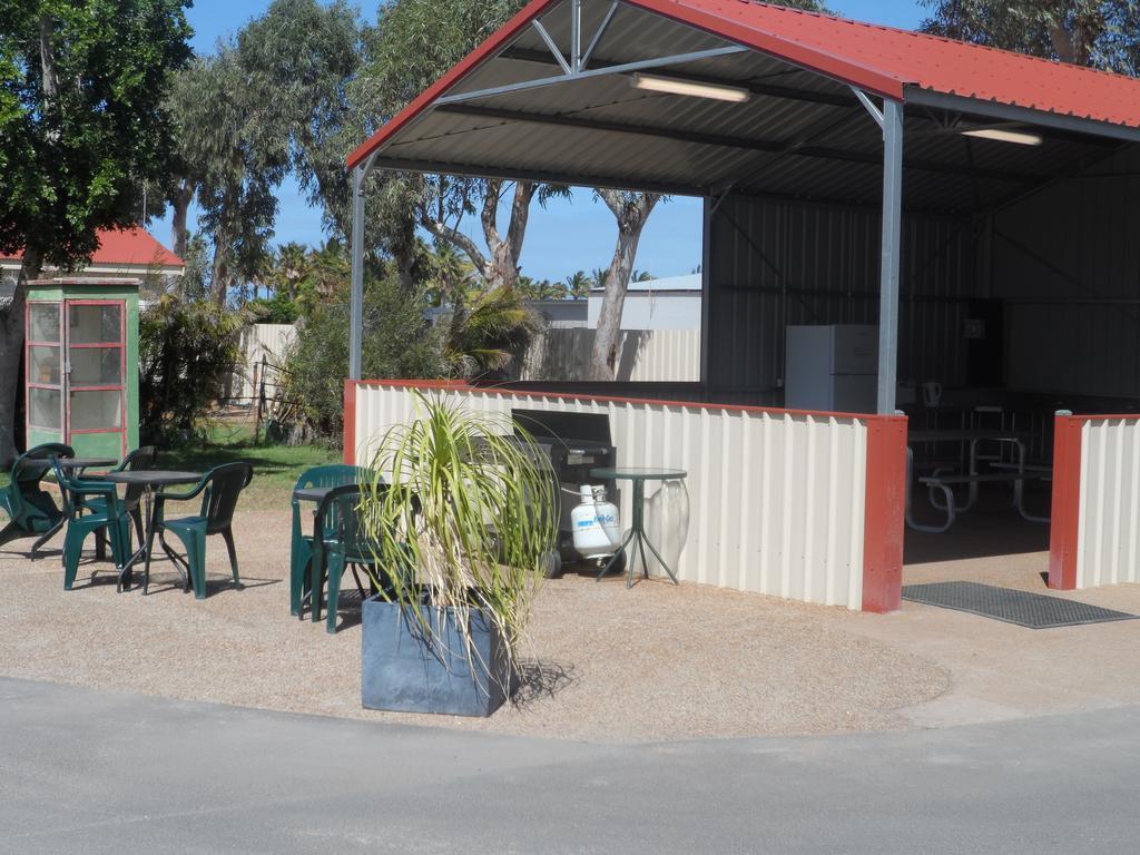 Outback Oasis Caravan Park Carnarvon Ngoại thất bức ảnh